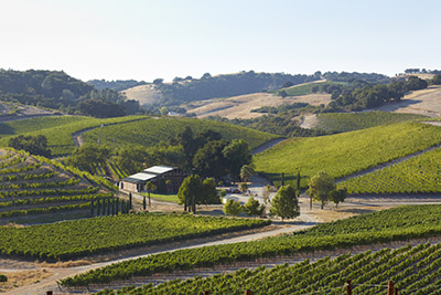 l'aventure winery