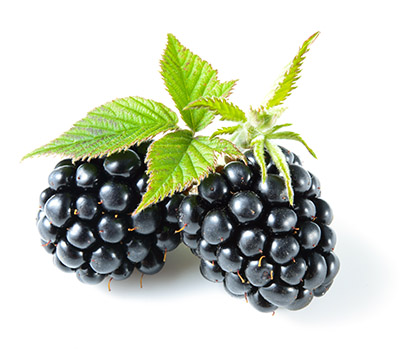 Firmenich Names Blackberry The 2014 'Flavor Of The Year'