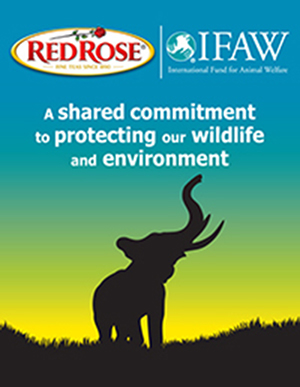 Red Rose Tea partners with International Fund for Animal Welfare to help protect environments where tea is sourced