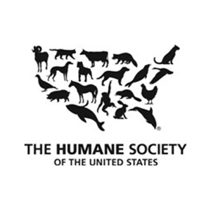 USDA Shutters Calf Slaughter Plant in New Jersey in Wake of HSUS Investigation