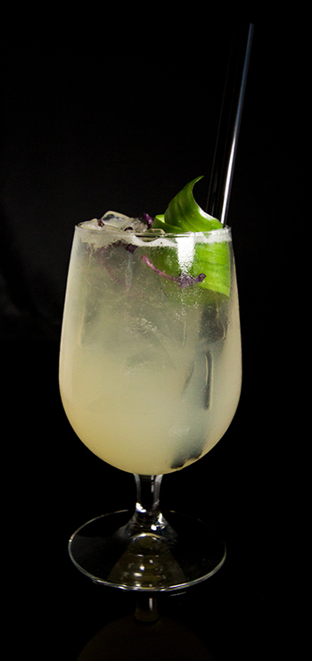 Celebrate Nation​al Margarita Day wit​h NOHO!​