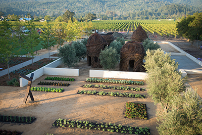 HALL Wines’ New St. Helena Visitor Center Opens for Tours & Unique Wine Experiences