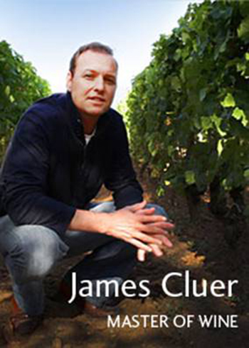 Wine Certification Courses Come to Chicago