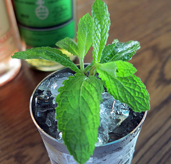 Blackberry Mint Julep Margarita, Spring Reviver, The Tullamore Dewlep, Major Bailey, And Fort Julep Cocktail Recipes