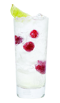 Seashore Spritzer, Poolside Prosecco Punch, Summertime Sipper, & Very Berry Lemonade Recipes by Skinnygirl Cocktails