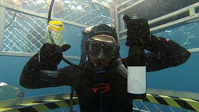 First-ever shark cage wine-tasting on 'WINERAM Australia'