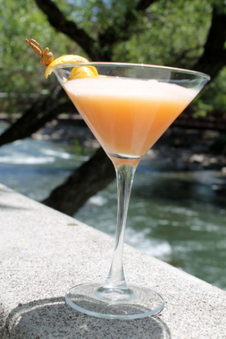 NV Mixologist Named 2014 Disaronno "Mixing Star"