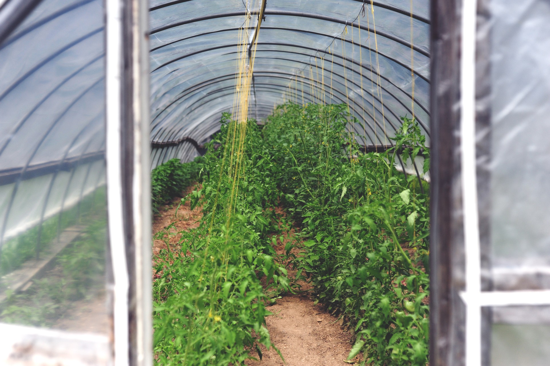 New Trends & Products