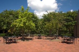 Courtyard2_23918