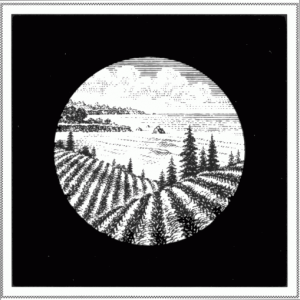 Bargetto Winery