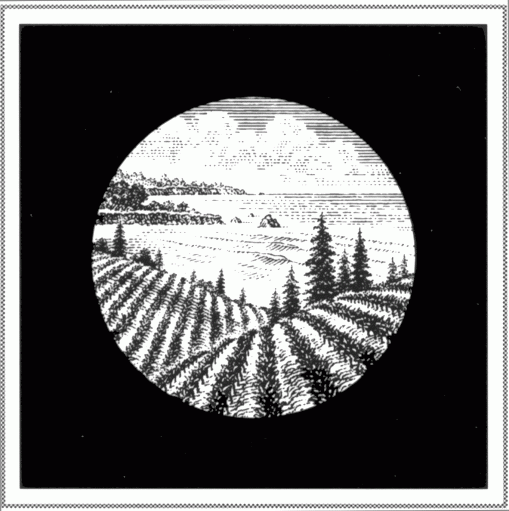 Bargetto Winery to Release 2011 LA VITA June 7, 2015