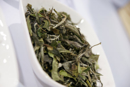 World Tea Expo to Present 'The John Harney Lifetime Achievement Award' During the World Tea Awards, May 7 in Long Beach, Calif.