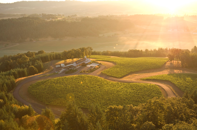 Penner-Ash Wine Cellars Debuts Fresh Experiences for Wine Country Visitors