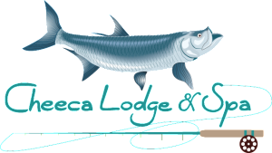 cheeca logo