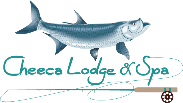 New Chefs: The Embassy Row Hotel and Cheeca Lodge & Spa