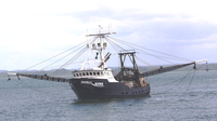 Marine Stewardship Council – “Pink Shrimp is #1 in Washington”