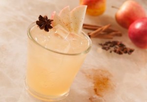 Fancy oaxacan