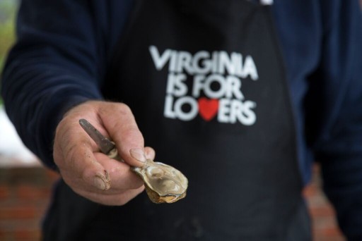 Governor McAuliffe Launches New Virginia Oyster Trail