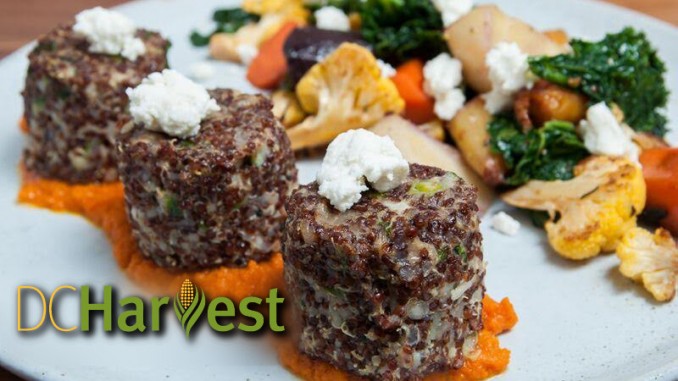 Crispy Quinoa Cakes