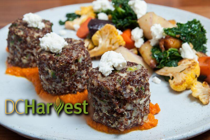 New DC Hot Spot Serving Chef-Driven, Diet-Friendly Food