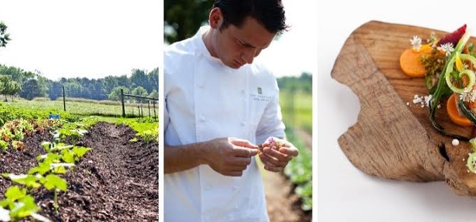 Carrots – Intro to Chef Steven Greene of Herons