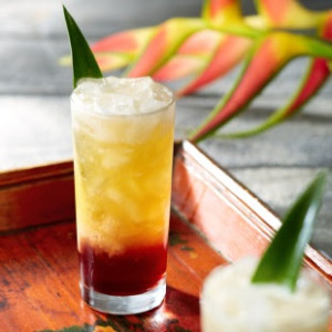 Tommy Bahama Bajan Swizzle