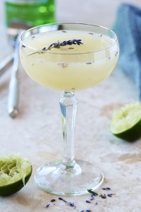 The Fogo Lavender Southside