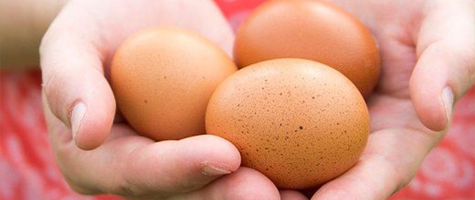 Organic Food Labeling – New Amendment Needs Support
