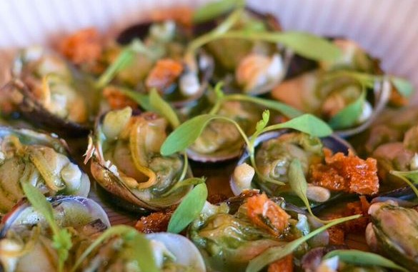 KLIMA Clams with Plankton