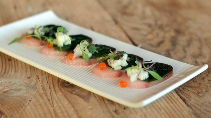 KLIMA Hamachi with Plankton