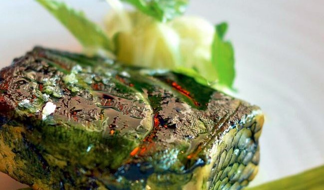 KLIMA Sea Bass with Plankton