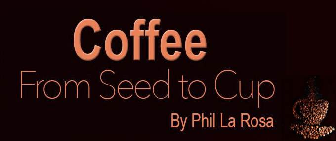 Coffee from Seed to Cup