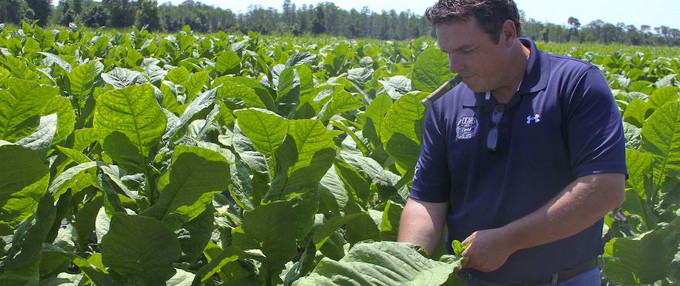 Drew Estate Announces New Florida Sun Grown “FSG” Cigar Line