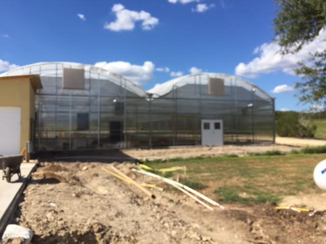 Bella Verdi Greenhouse