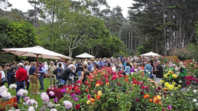 32nd Annual Winesong event