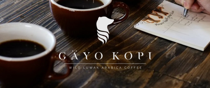 Gayo Kopi: Most Authentically Rare Coffee in the World Is Now Available in the United States