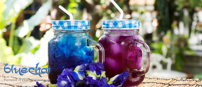 Bluechai Launches Two New Organic Blue Teas