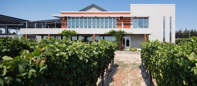 Gestural Design and the Vineyard