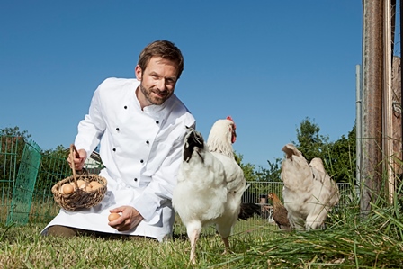 local-farm-to-table