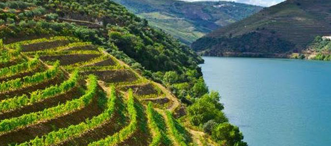 Slate Wine Bar + Bistro hosts Portuguese Wine Dinner