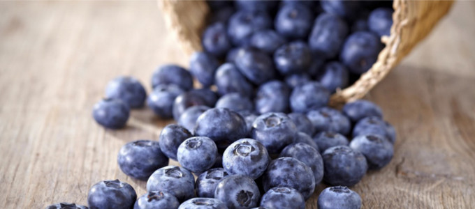 Delicious, holiday-perfect recipes chock full of blueberries