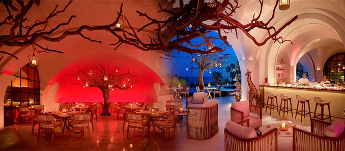 Las Ventanas Al Paraíso, A Rosewood Resort Unveils Arbol, The First Asian Restaurant In Los Cabos
