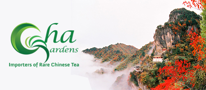 Get To Know China’s Famed Tea Master Cai Rugui