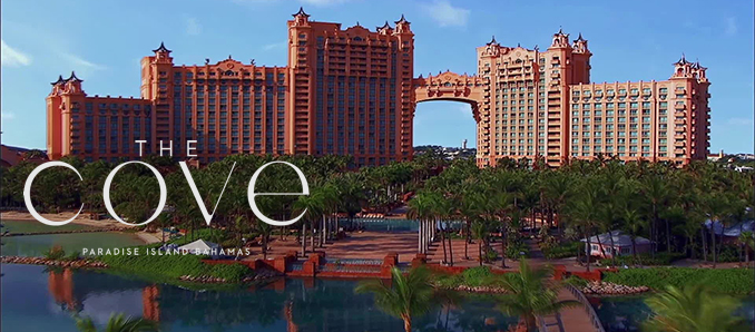 Fish By José Andrés Debuts At The Cove, Paradise Island