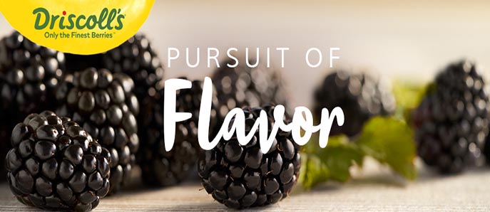 Pursuit of Flavor” Video Series Tops 1 Million Views