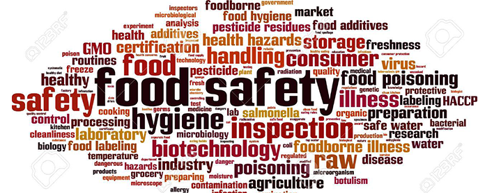 Ways Retailers Use To Store Their Food Safely