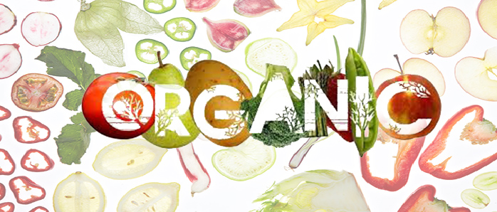 Organic Food – The Benefits of Natural and Organic Produce