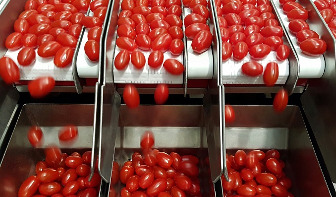 One Way That Supermarkets of the Future Can Tackle the Scandal of Food Waste