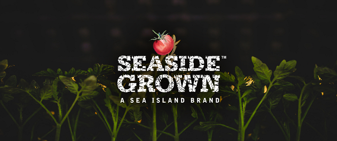 Seaside Grown Wins Wine & Spirits Wholesalers of America’s Brand Battle 2019