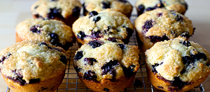 Coast Packing – Tender Citrus Bursting Blueberry Muffins